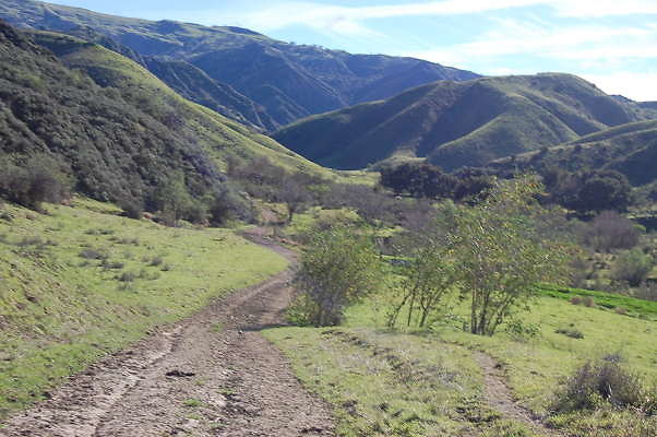 DSC 0503
