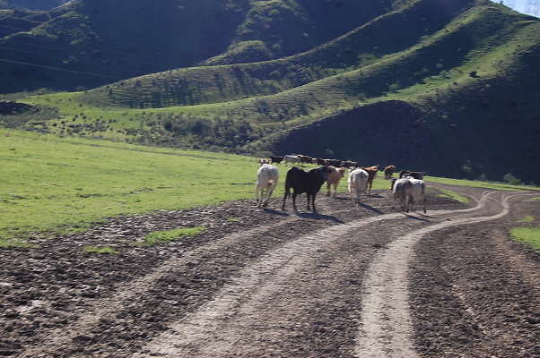DSC 0500