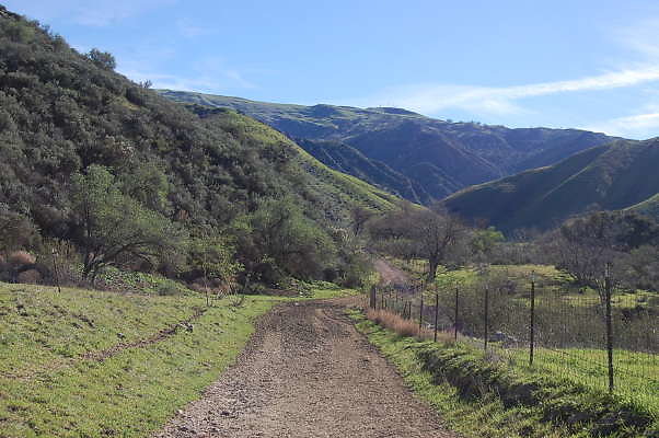 DSC 0504