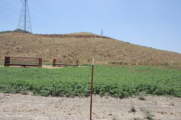 DSC 0316