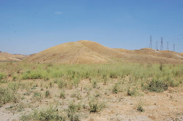 DSC 0310