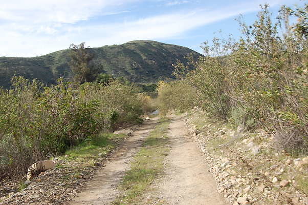 DSC 0232