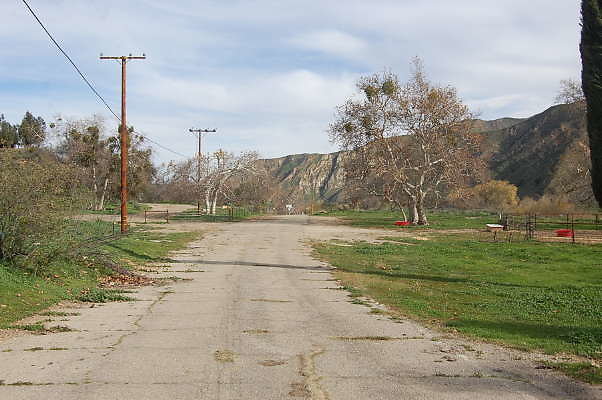 DSC 0109
