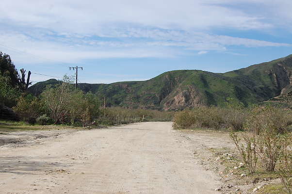 DSC 0165