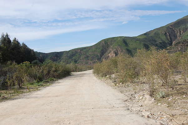 DSC 0163