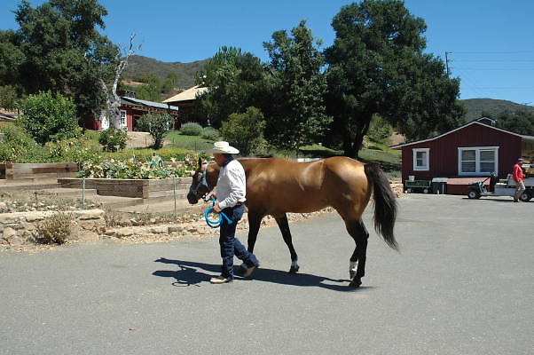 DSC 0334