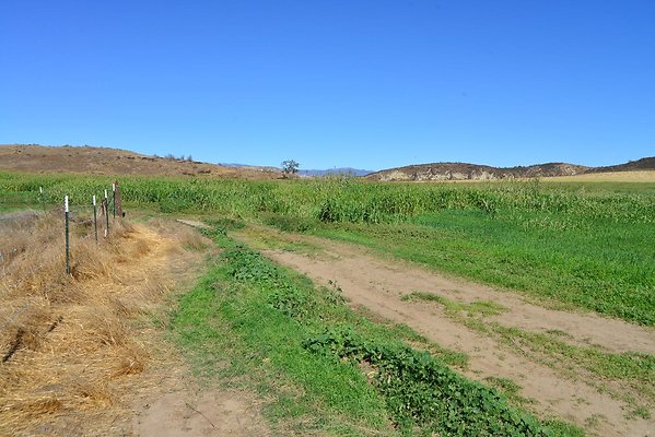 DSC 8748