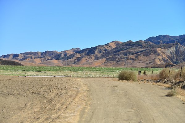 DSC 8741