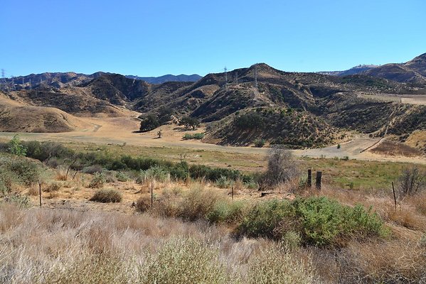 DSC 8768