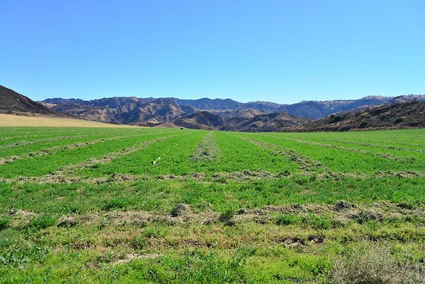 DSC 8723