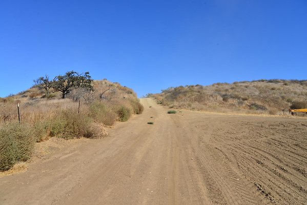 DSC 8726
