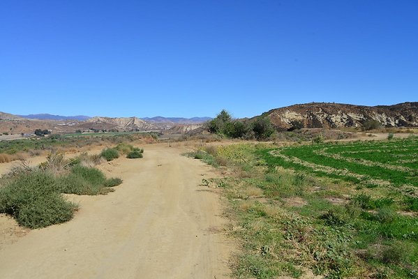 DSC 8725