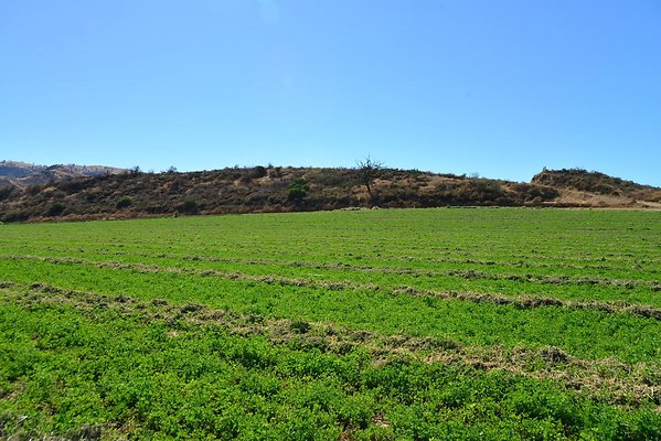 DSC 8708