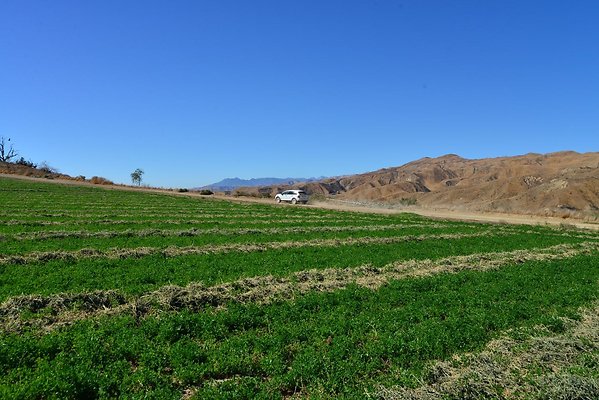 DSC 8714