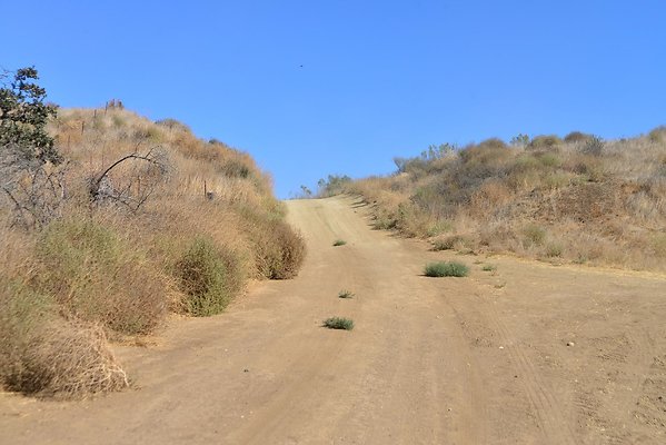 DSC 8727