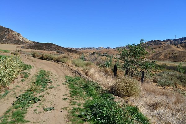DSC 8767