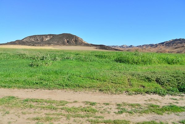 DSC 8749