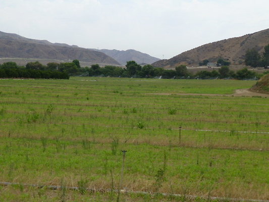 P1120753