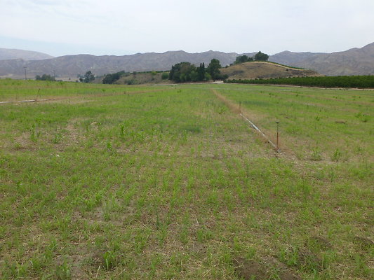 P1120737