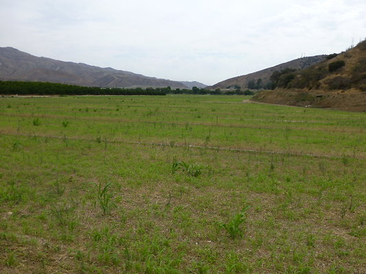 P1120752