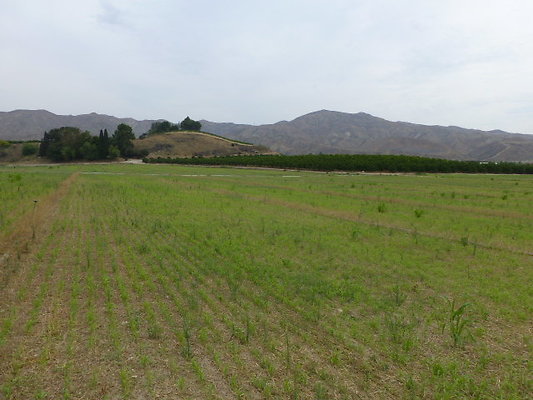 P1120750