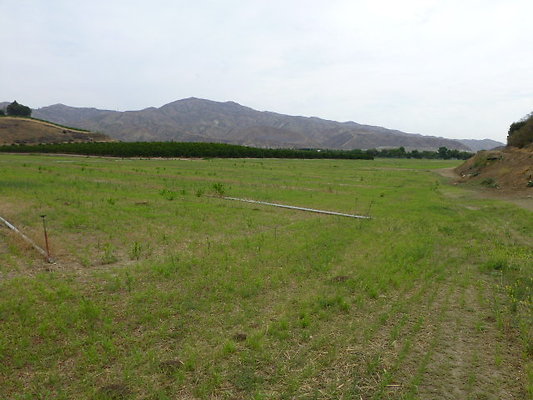 P1120738