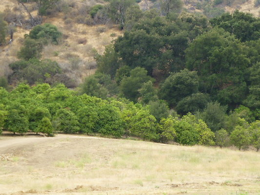 P1120748