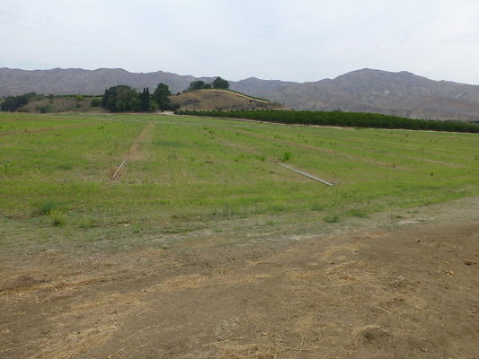 P1120733