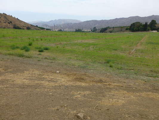 P1120731