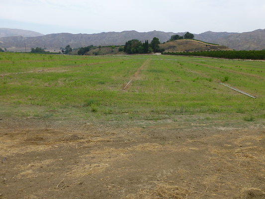 P1120732