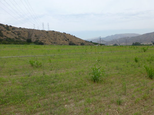 P1120749
