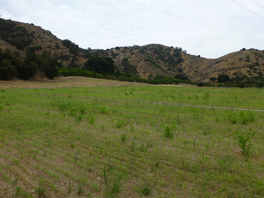 P1120746