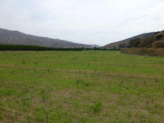 P1120751
