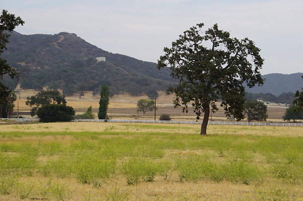 JMJ.Ranch.Hay.2.17