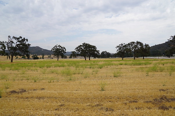 JMJ.Ranch.Hay.2.03