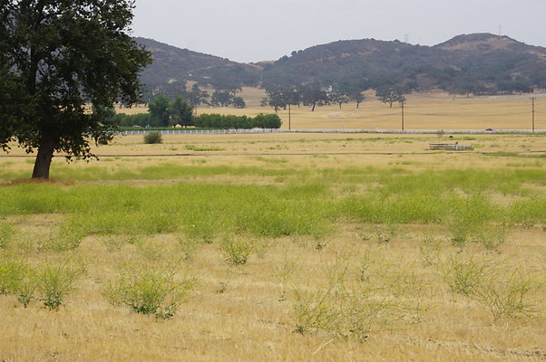 JMJ.Ranch.Hay.2.15