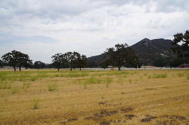 JMJ.Ranch.Hay.2.04