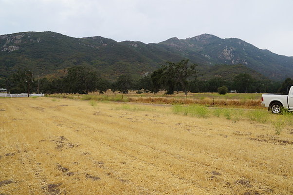 JMJ.Ranch.Hay.2.07