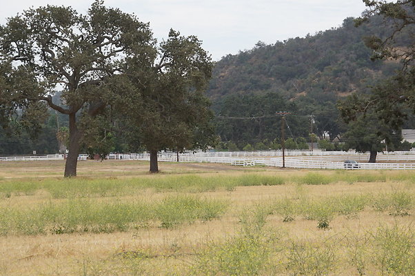 JMJ.Ranch.Hay.2.19