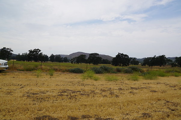 JMJ.Ranch.Hay.2.09