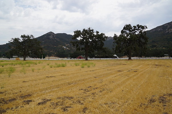 JMJ.Ranch.Hay.2.05