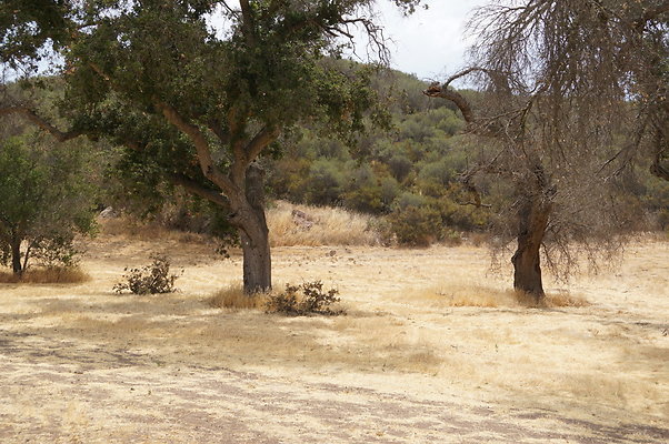 VF.Cabin.Meadow.20