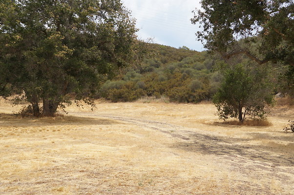 VF.Cabin.Meadow.19