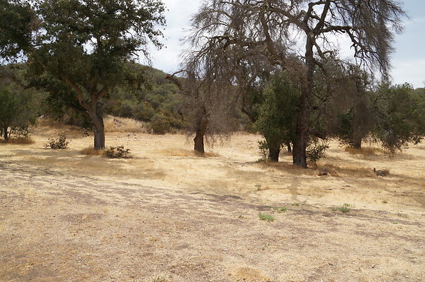 VF.Cabin.Meadow.09