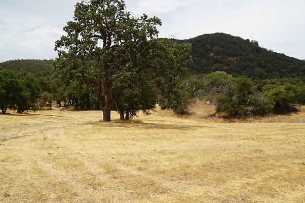 VF.Cabin.Meadow.11