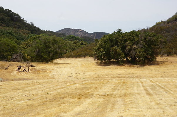 VF.Cabin.Meadow.13