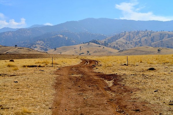 DSC 0015