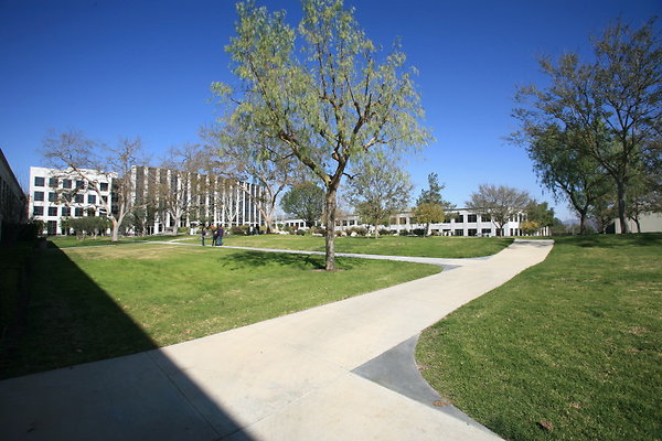 729C 0016 1