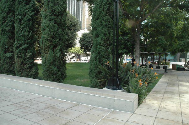 DSC 0640