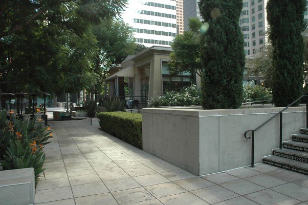 DSC 0635